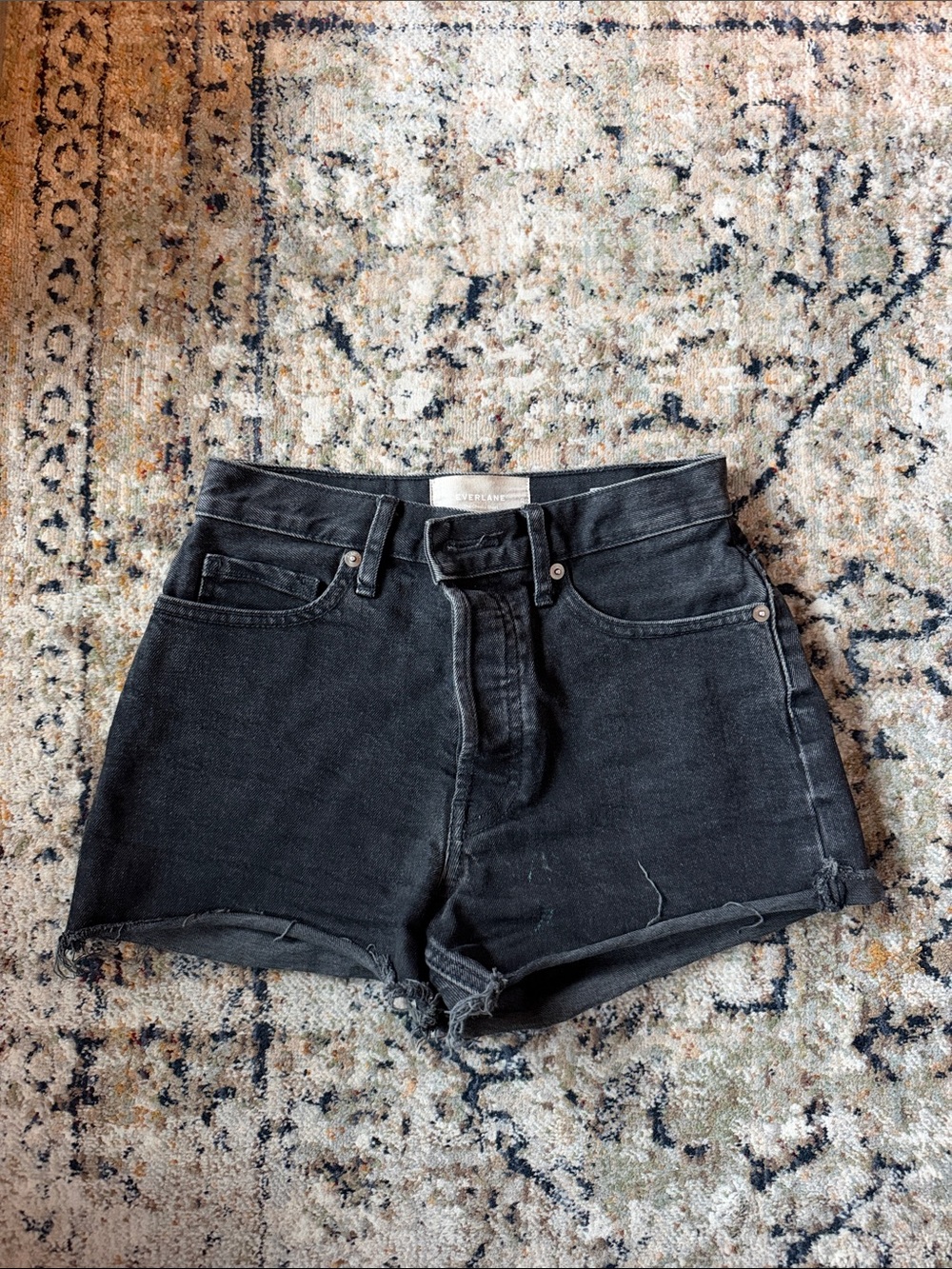 Everlane Cheeky Short